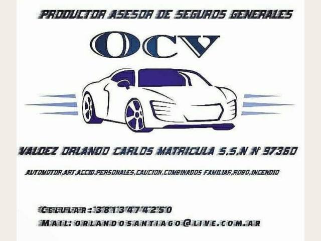 OCV PRODUCTOR ASESOR DE SEGUROS