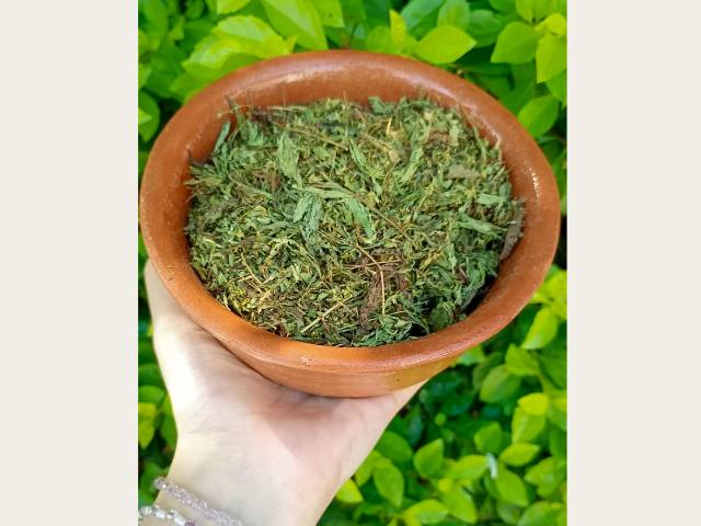 Stevia 🌿