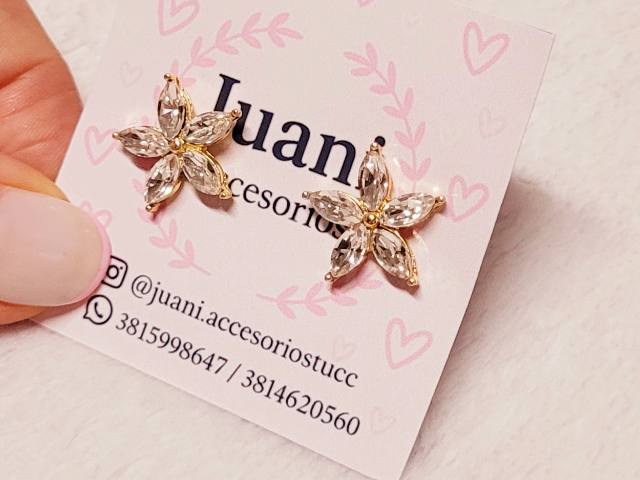 Flor & Piedras