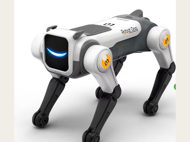 Puesto ROBOTS