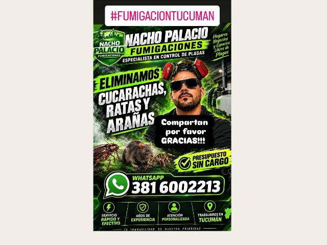 Nacho Palacio FUMIGACIONES