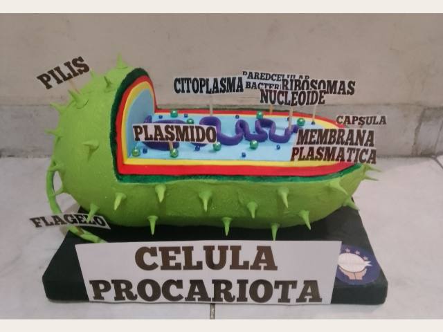 Maqueta escolar