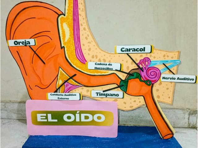 Maqueta
