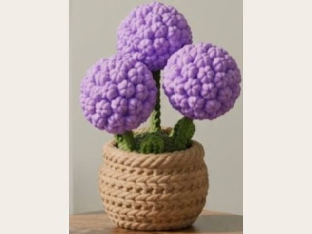 Hortensia por 3 flores
