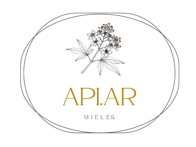 API.AR