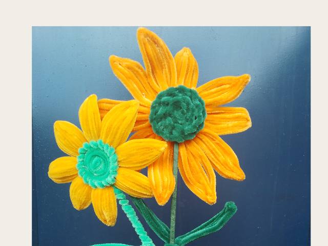 GIRASOL GRANDE