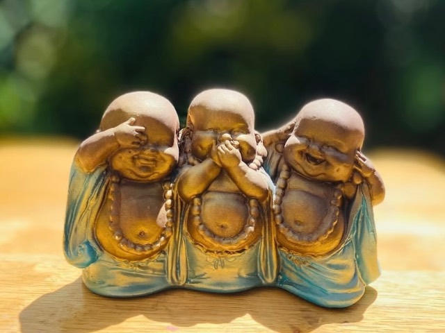 Buda sabio