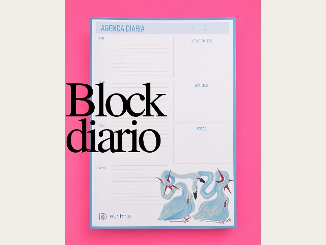 Planner diario 