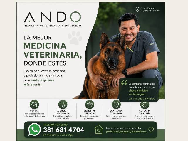 Puesto ANDOVET
