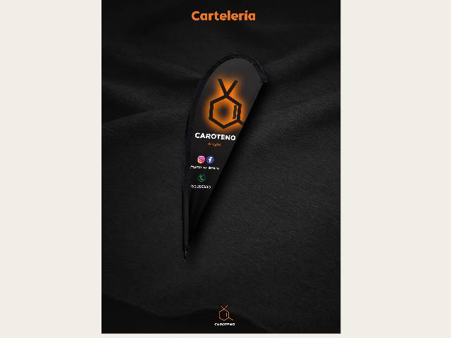 Fly banner